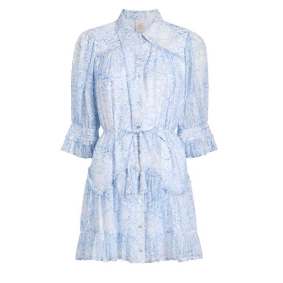 Scenic Toile Voile Gwendoline Dress - Picture 6 of 6